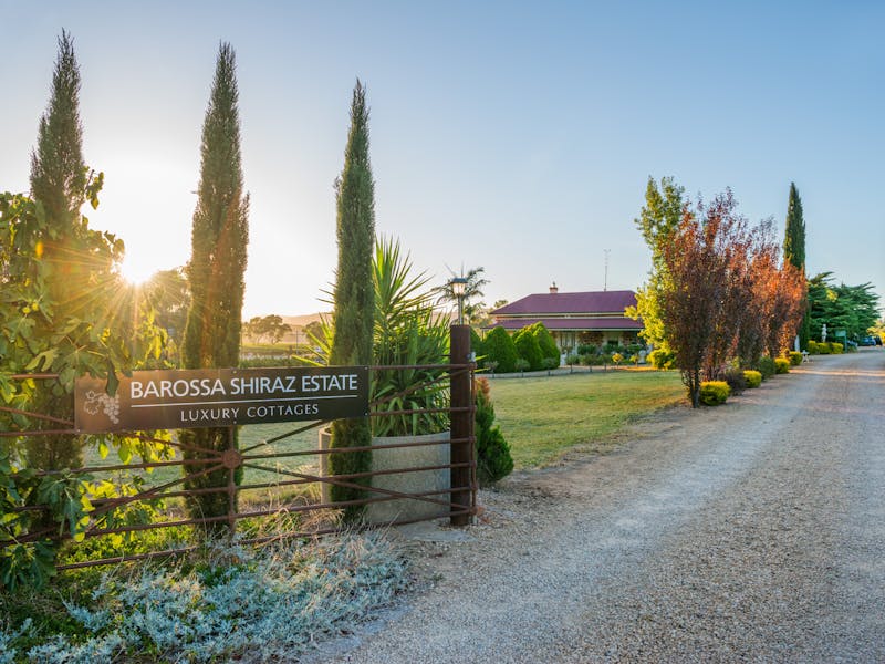 Photocredit: Barossa Shiraz Estate