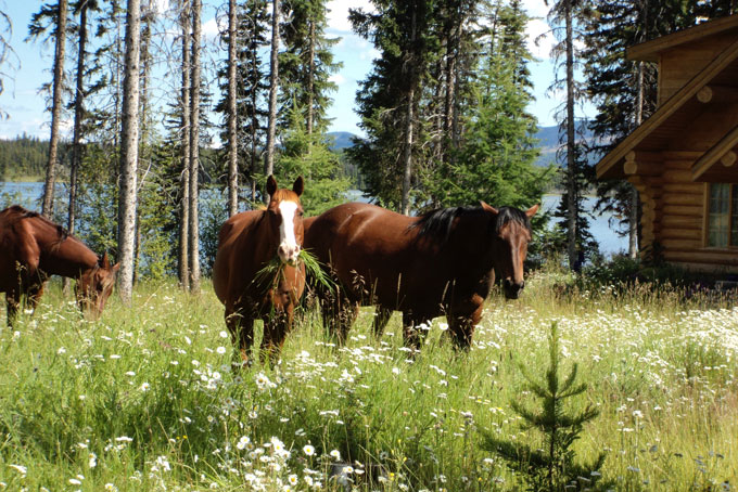 HotelBritish ColumbiaTen ee ah HorsebackRiding