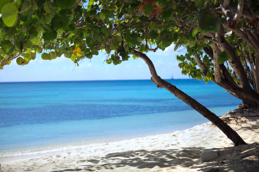 Cayman IslandsKimpton SeafireGrand Cayman Seafire
