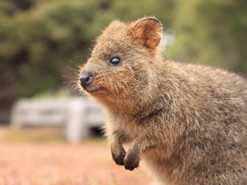Photocredit: Tourism Australia
