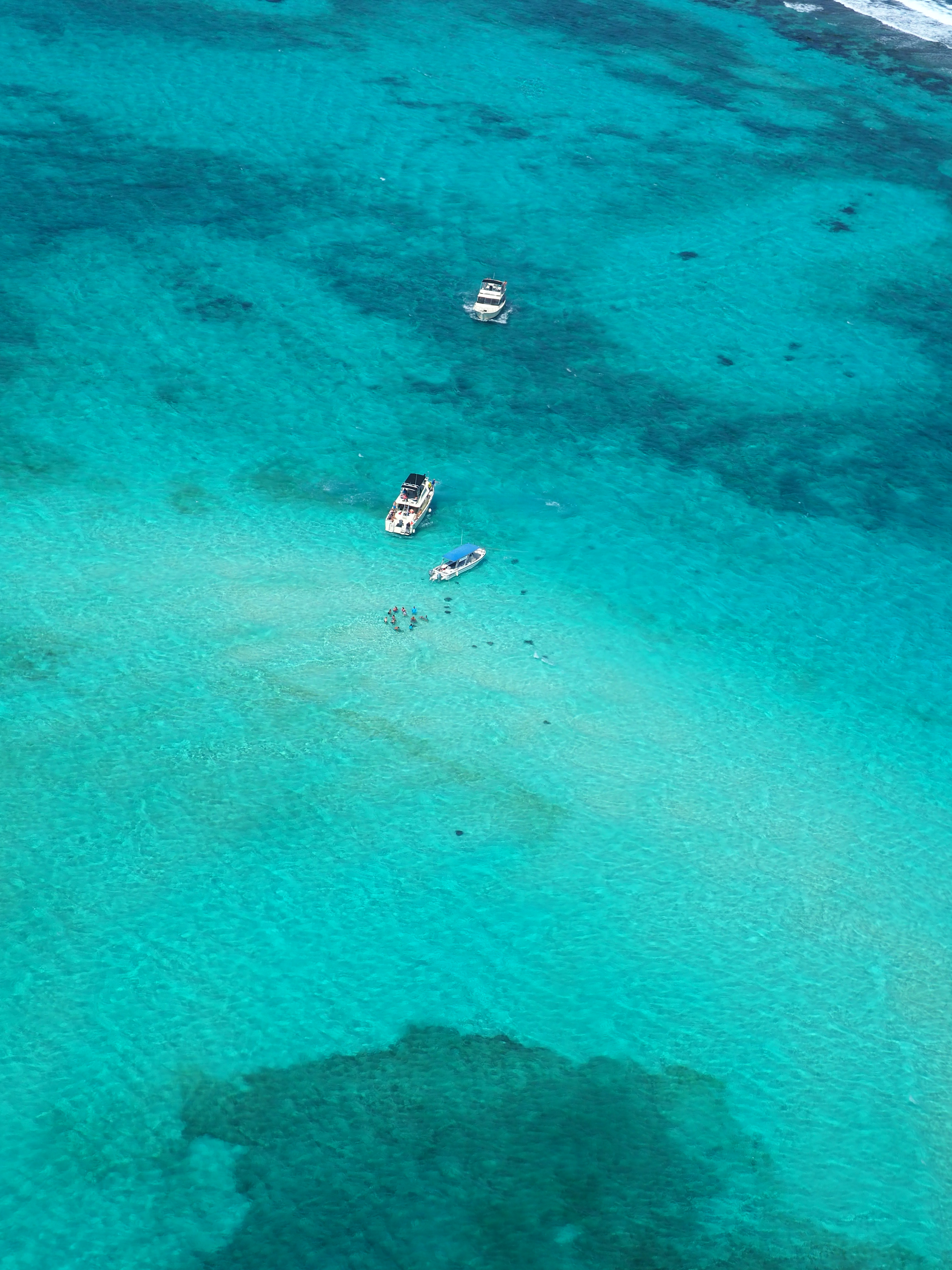 HDCayman IslandsGrand CaymanStingray City