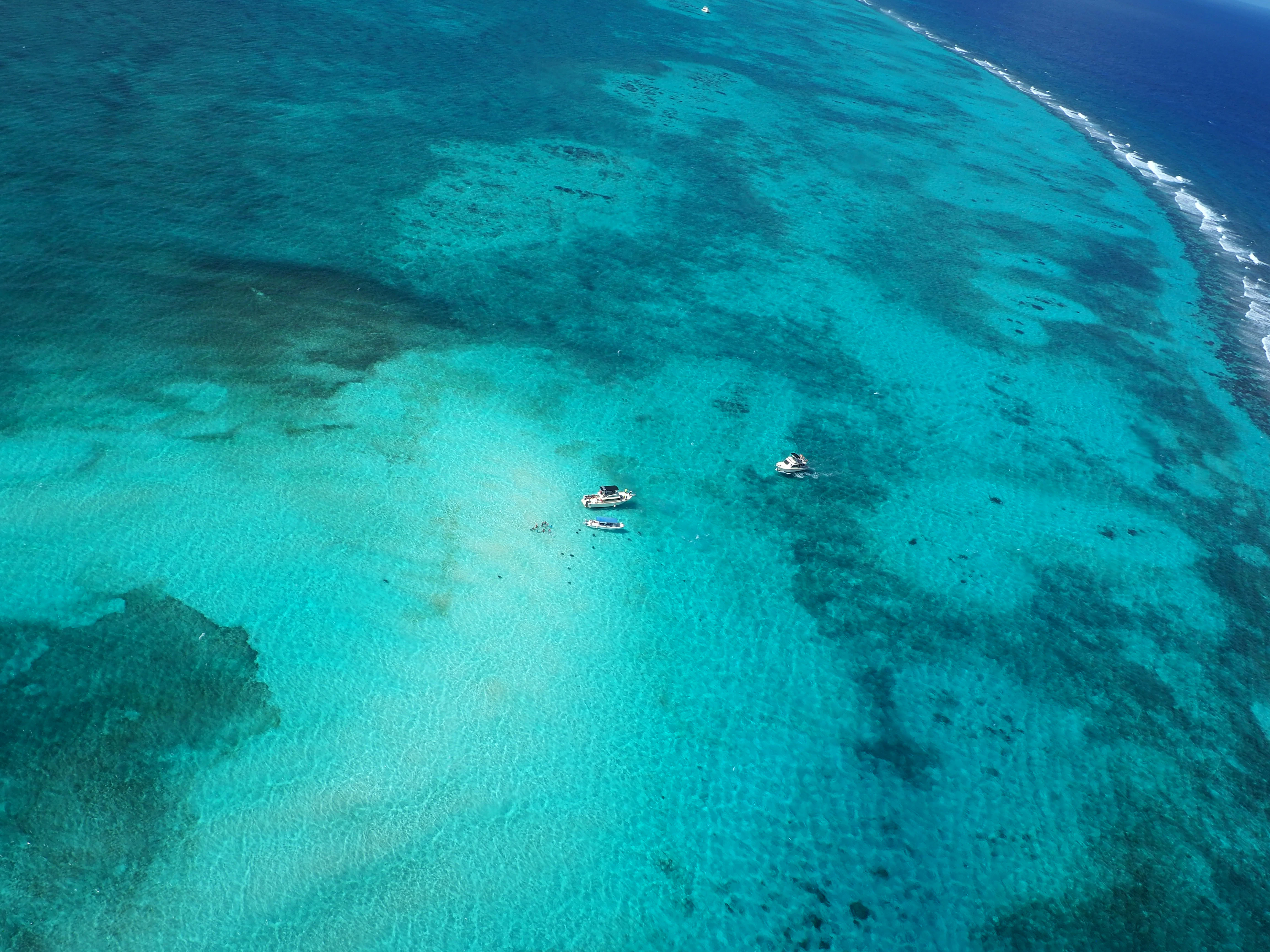 HDCayman IslandsGrand CaymanStingray City3