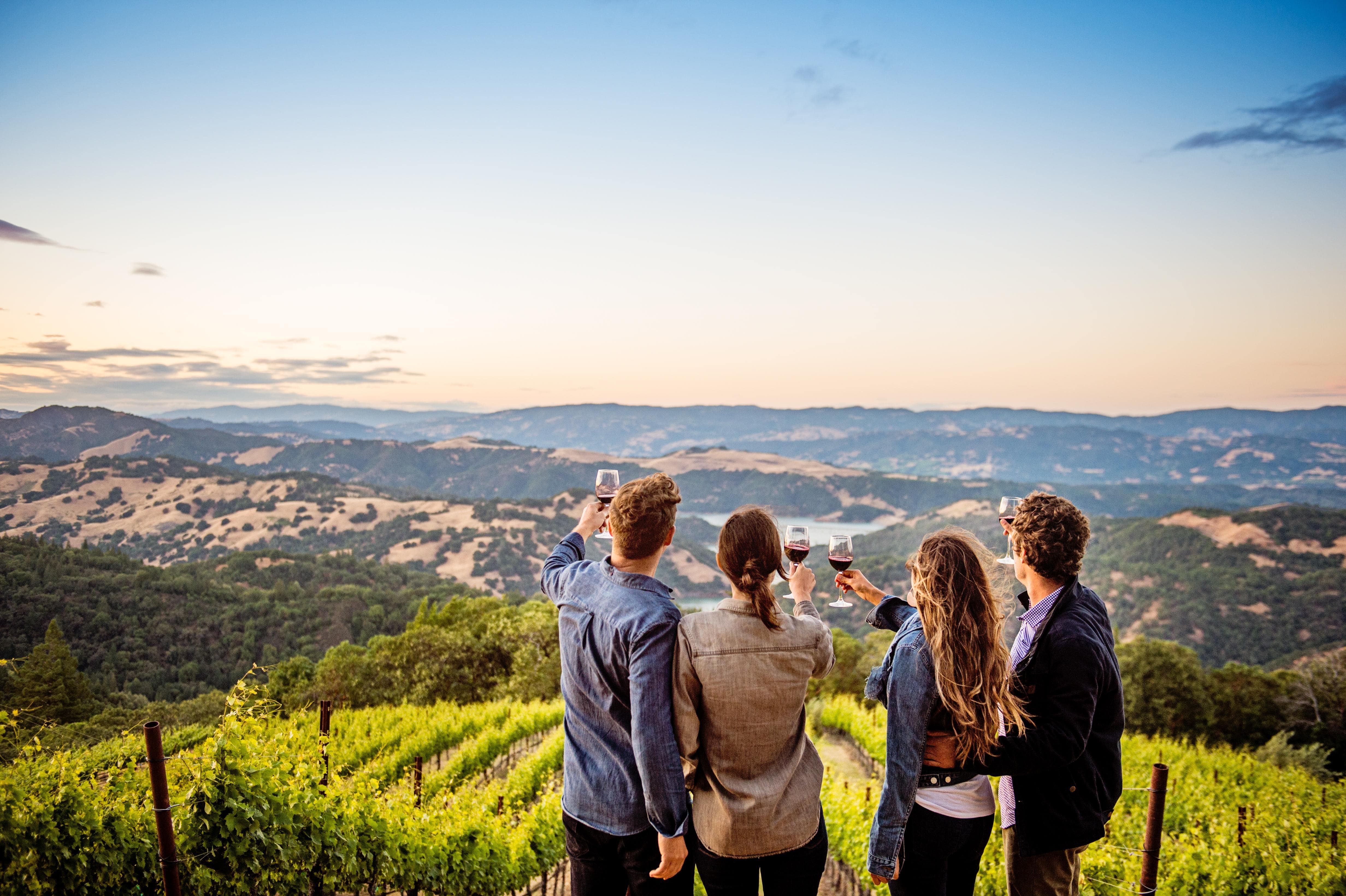 CaliforniaSonomaCounty Wein