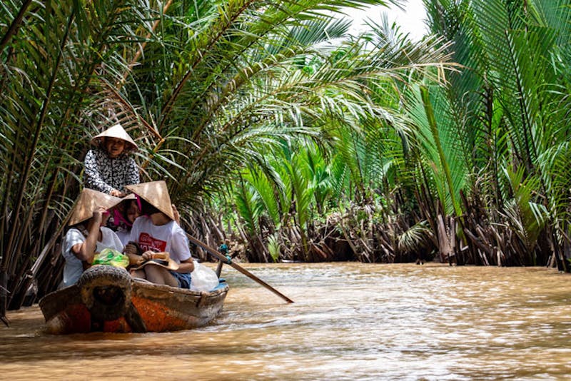 VietnamCan Tho Mekong DeltaKanaltour Mekong Delta Palmen
