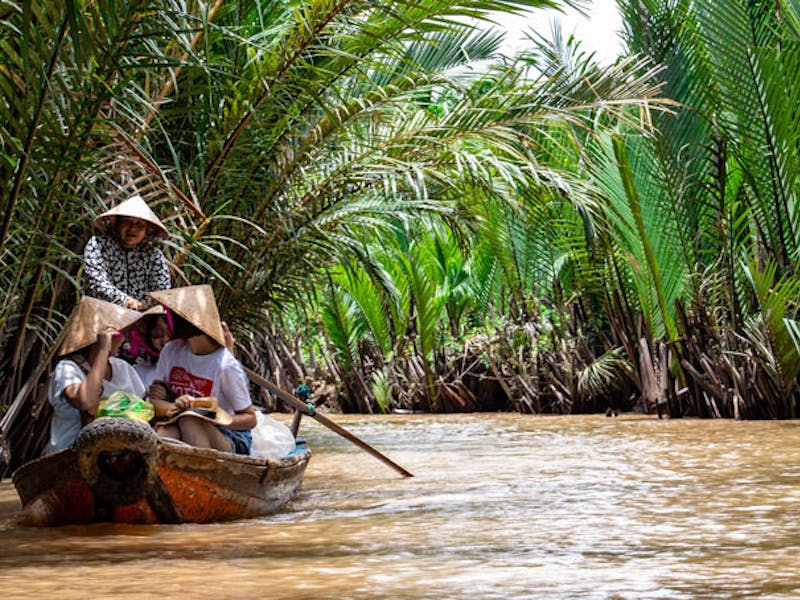VietnamCan Tho Mekong DeltaKanaltour Mekong Delta Palmen