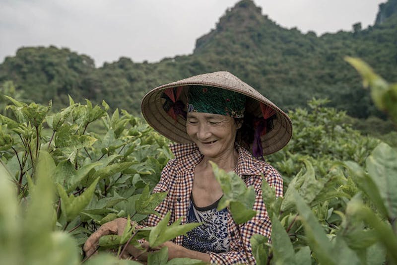 HotelVietnamHa Long BayLocal Life on Cat Ba Island