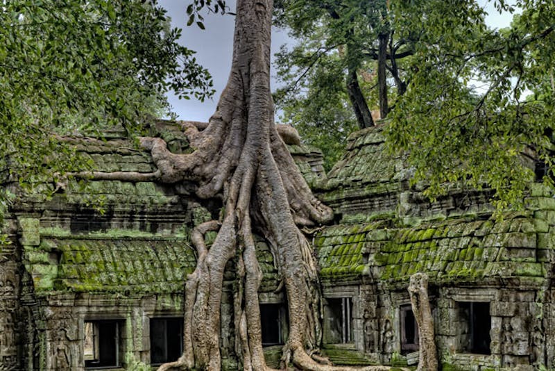 KambodschaSiem Reap AngkorAngkor Thom