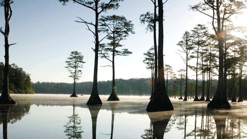 Cheraw State Park