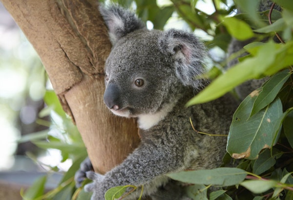 Photocredit: Tourism Australia