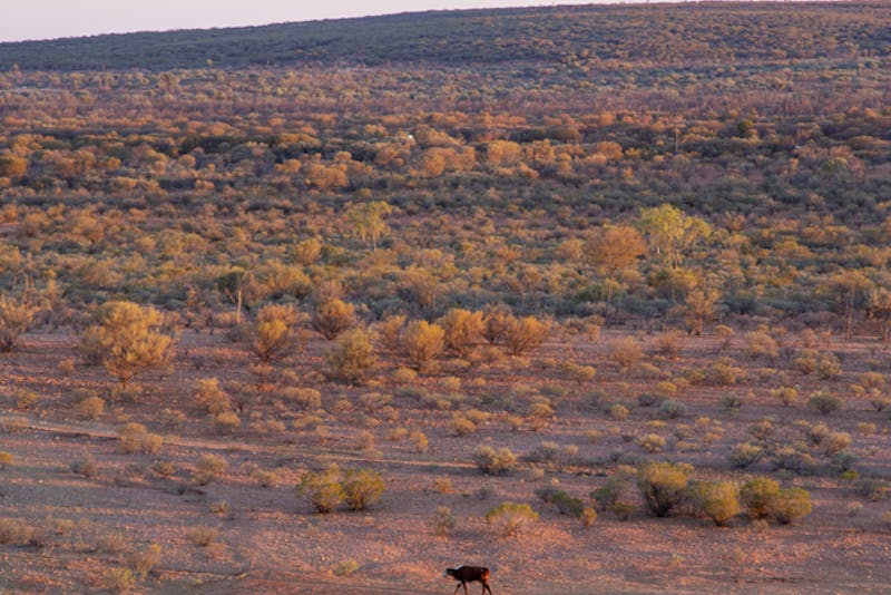 Photocredit: Tourism Australia