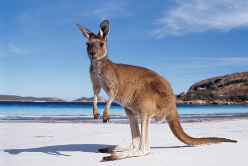 Photocredit: Tourism Australia