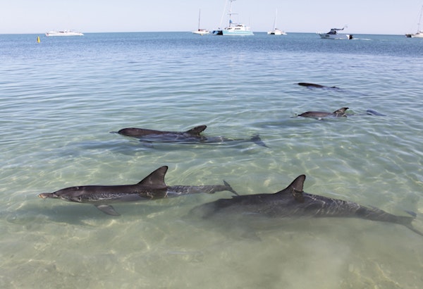 Photocredit: Tourism Australia