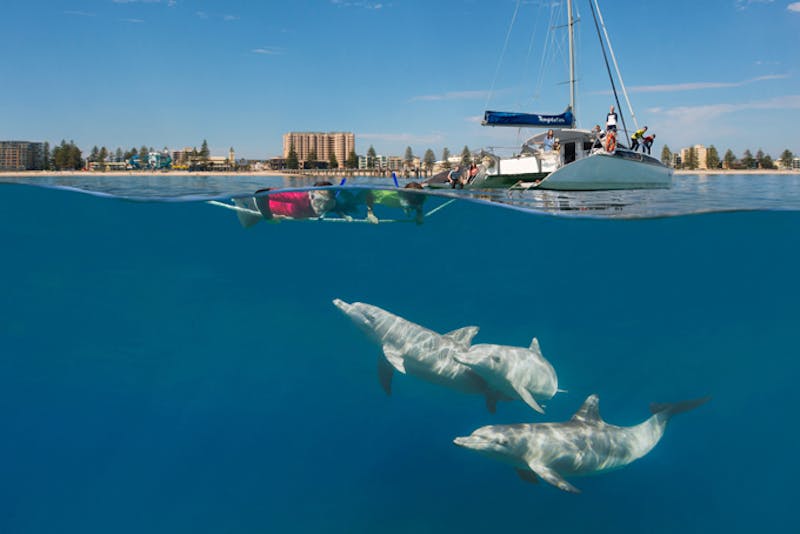 AustralienSouth AustraliaAdelaideGlenelg Photocredit SATC