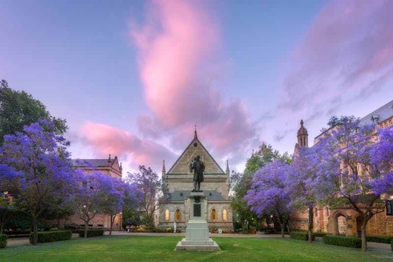 AustralienSouth AustraliaAdelaideNorth Terrace Photocredit SATC