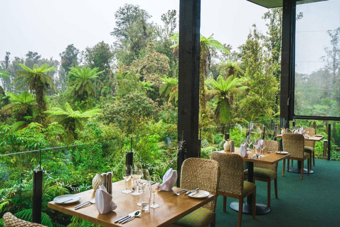 HotelNeuseelandWest CoastFranz Josef GletscherTe Waonui Forest Retreat Essen