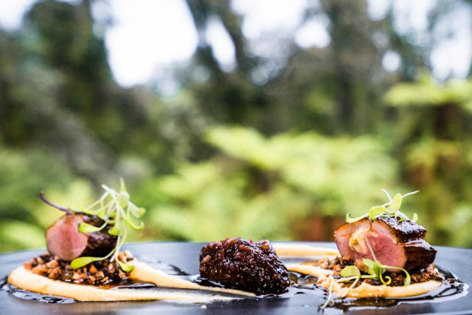 HotelNeuseelandWest CoastFranz Josef GletscherTe Waonui Forest Retreat dinne