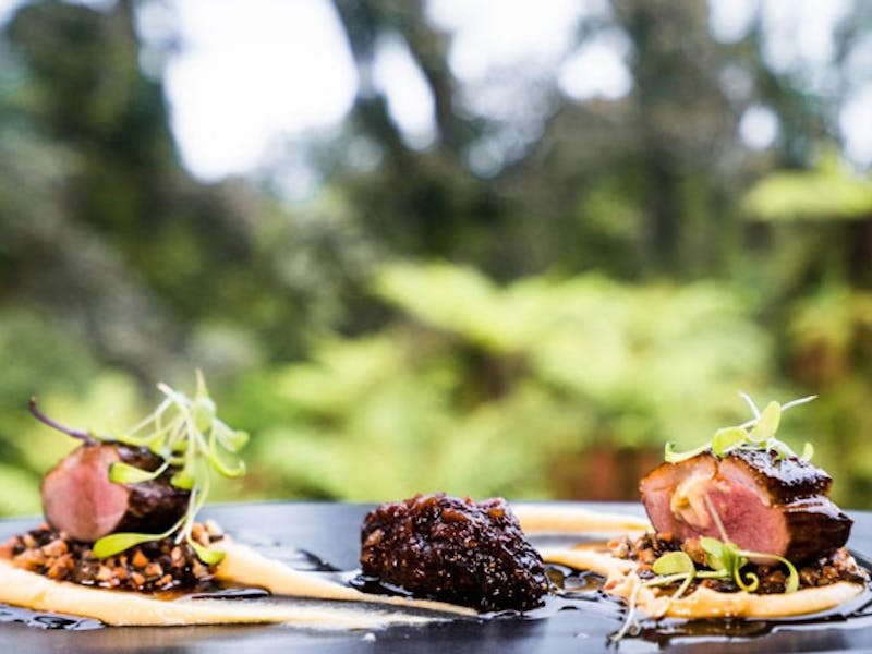 HotelNeuseelandWest CoastFranz Josef GletscherTe Waonui Forest Retreat dinne