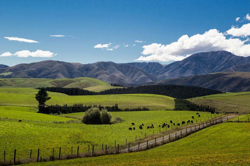 NeuseelandGeraldine Wiese