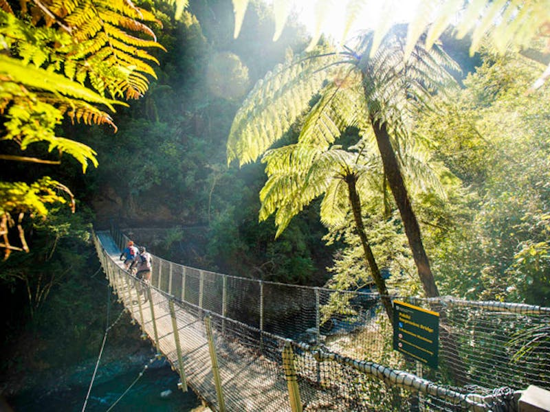 NeuseelandWhakatane Wald Motu Trails