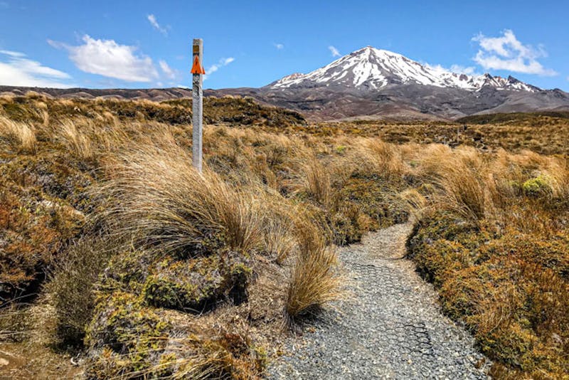 NeuseelandTongariroWeg