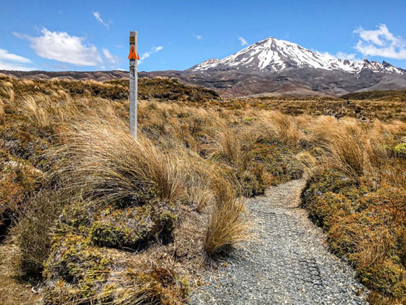 NeuseelandTongariroWeg