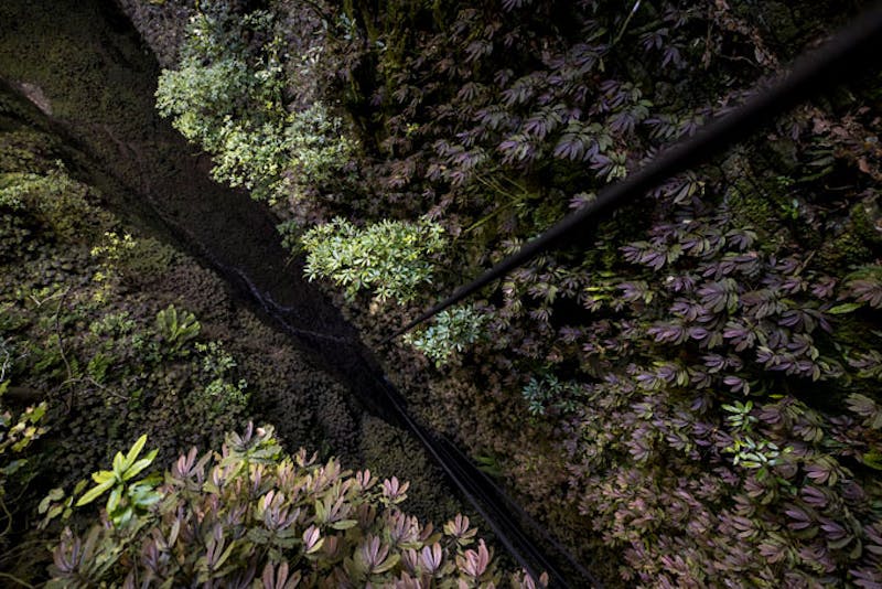 NeuseelandWaitomoHoehleneingang von oben