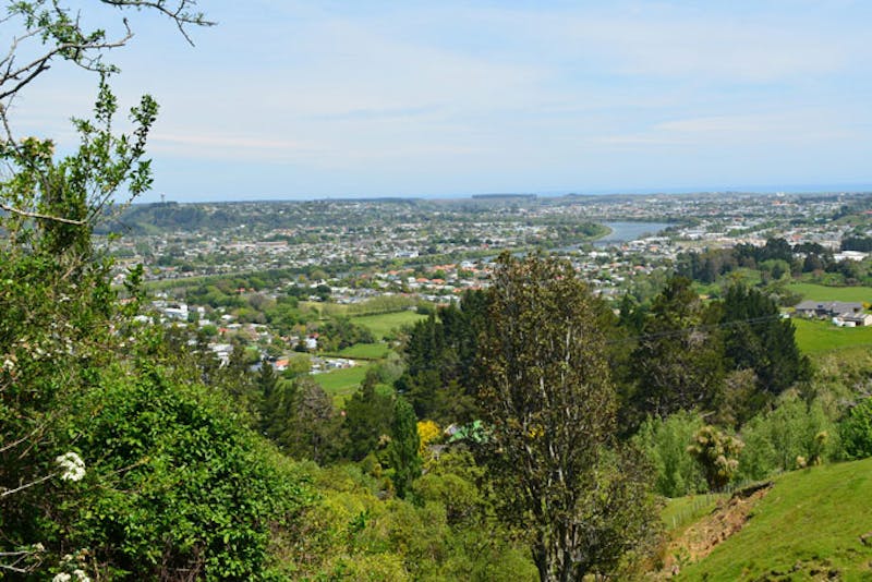 NeuseelandWhanganuiCityview