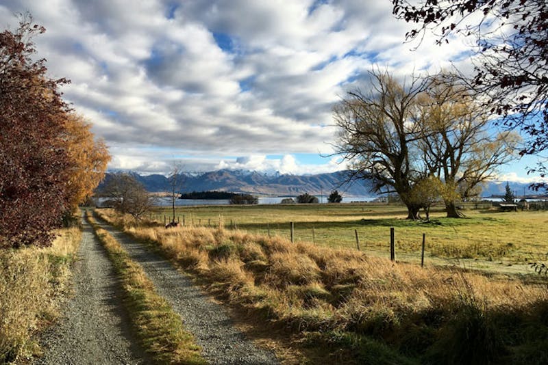 NeuseelandGeraldineKakahu