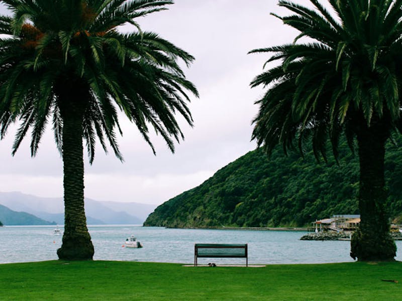 NeuseelandPictonAussicht