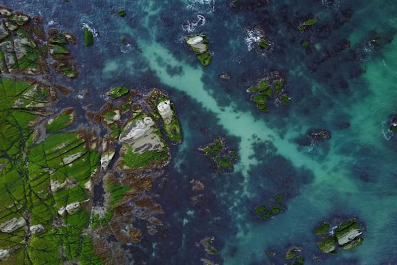 NeuseelandKaikouraKueste