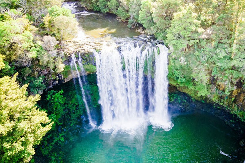 NeuseelandPaihiaWasserfall