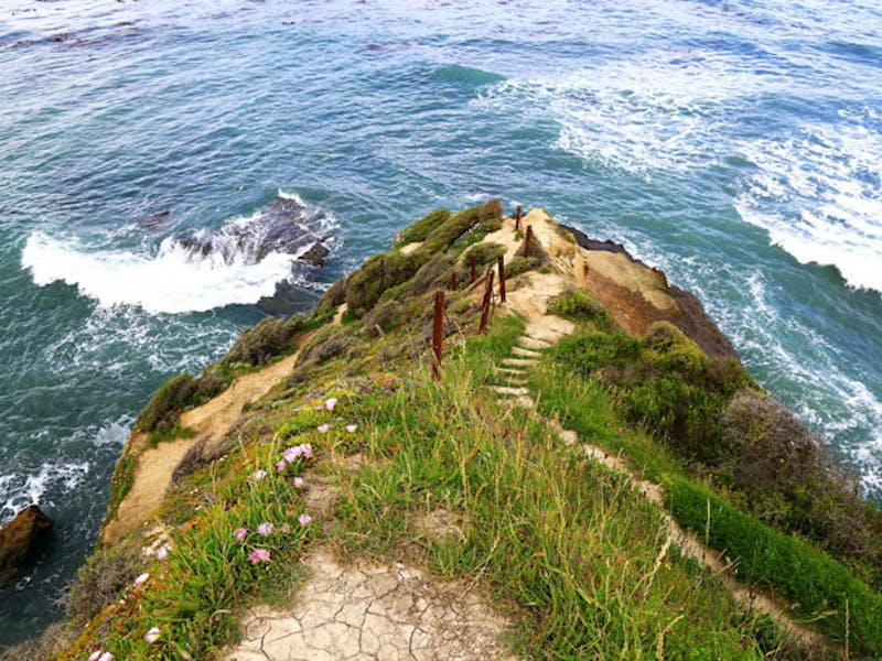 NeuseelandOamaruCape Wanbrow