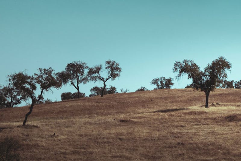 PortugalAlentejoHuegel