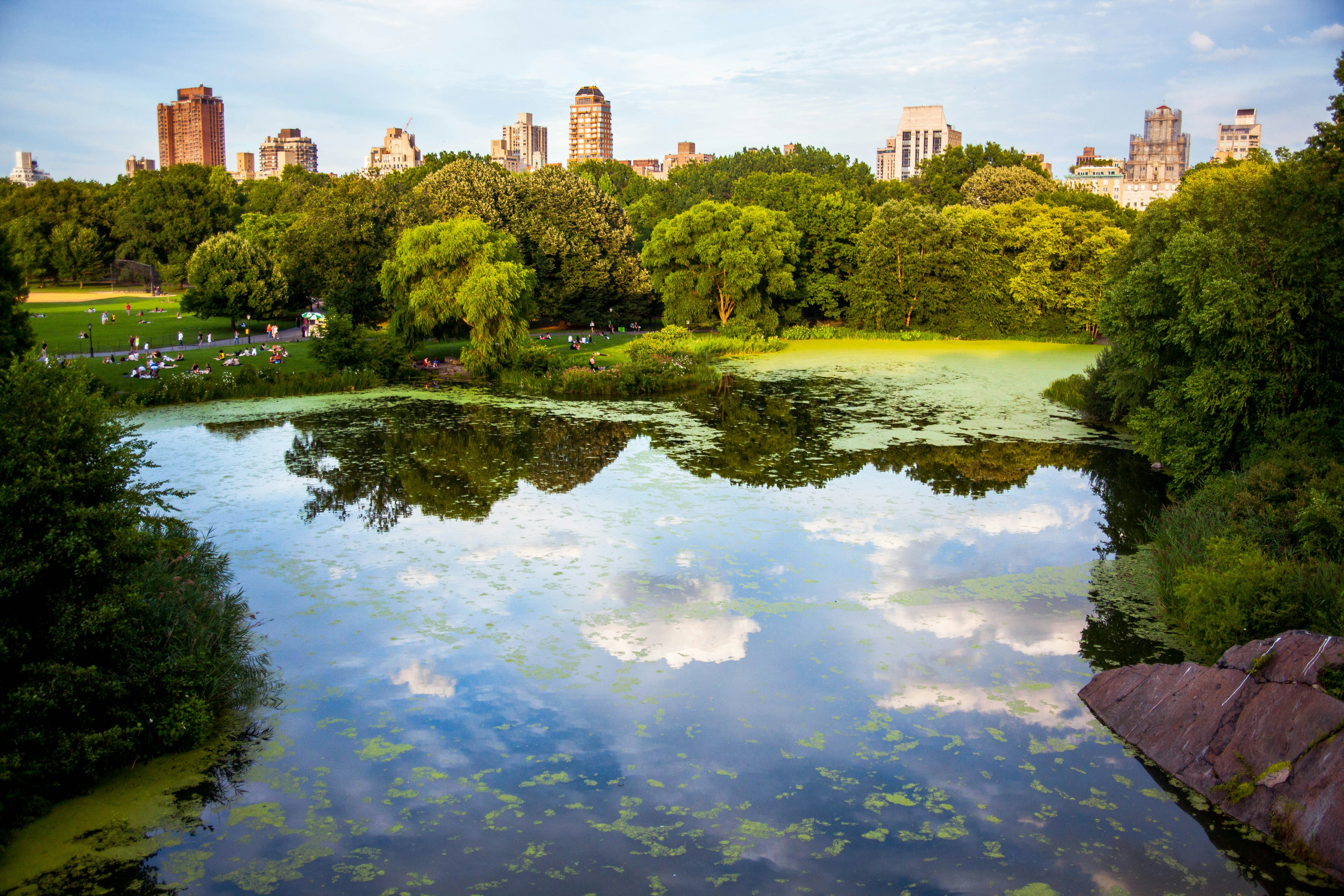 HDNewYorkCentralPark