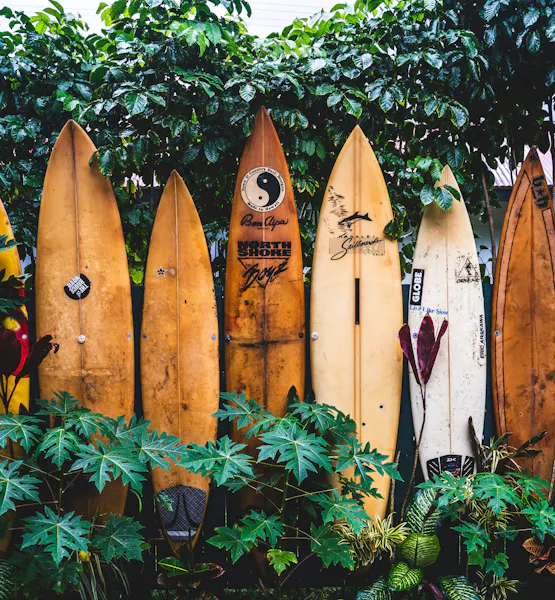 HDHawaiisurfboards holz vor Gruener wand
