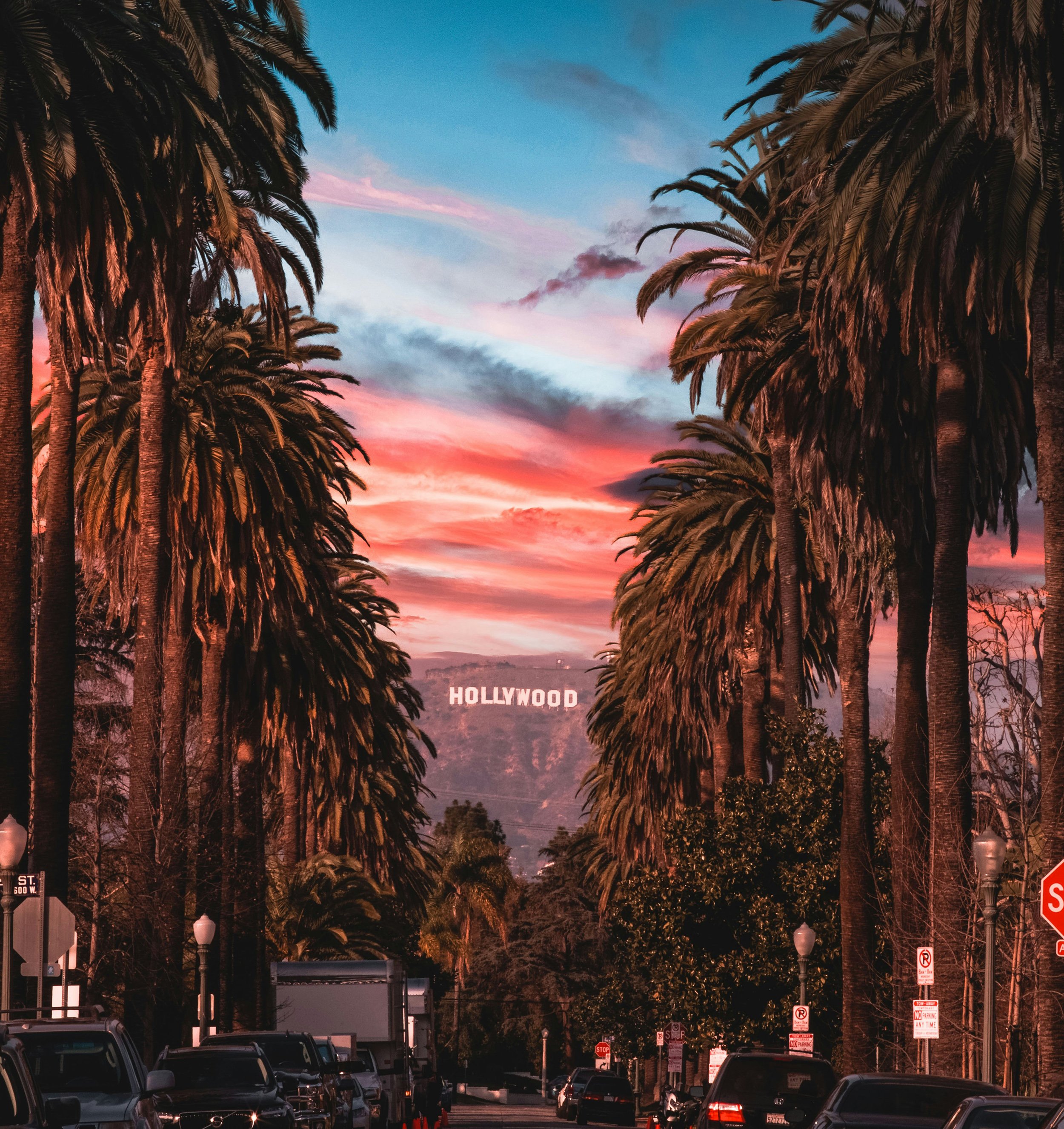 HDcaliforniaLos AngelesHollywood Sundown Palm