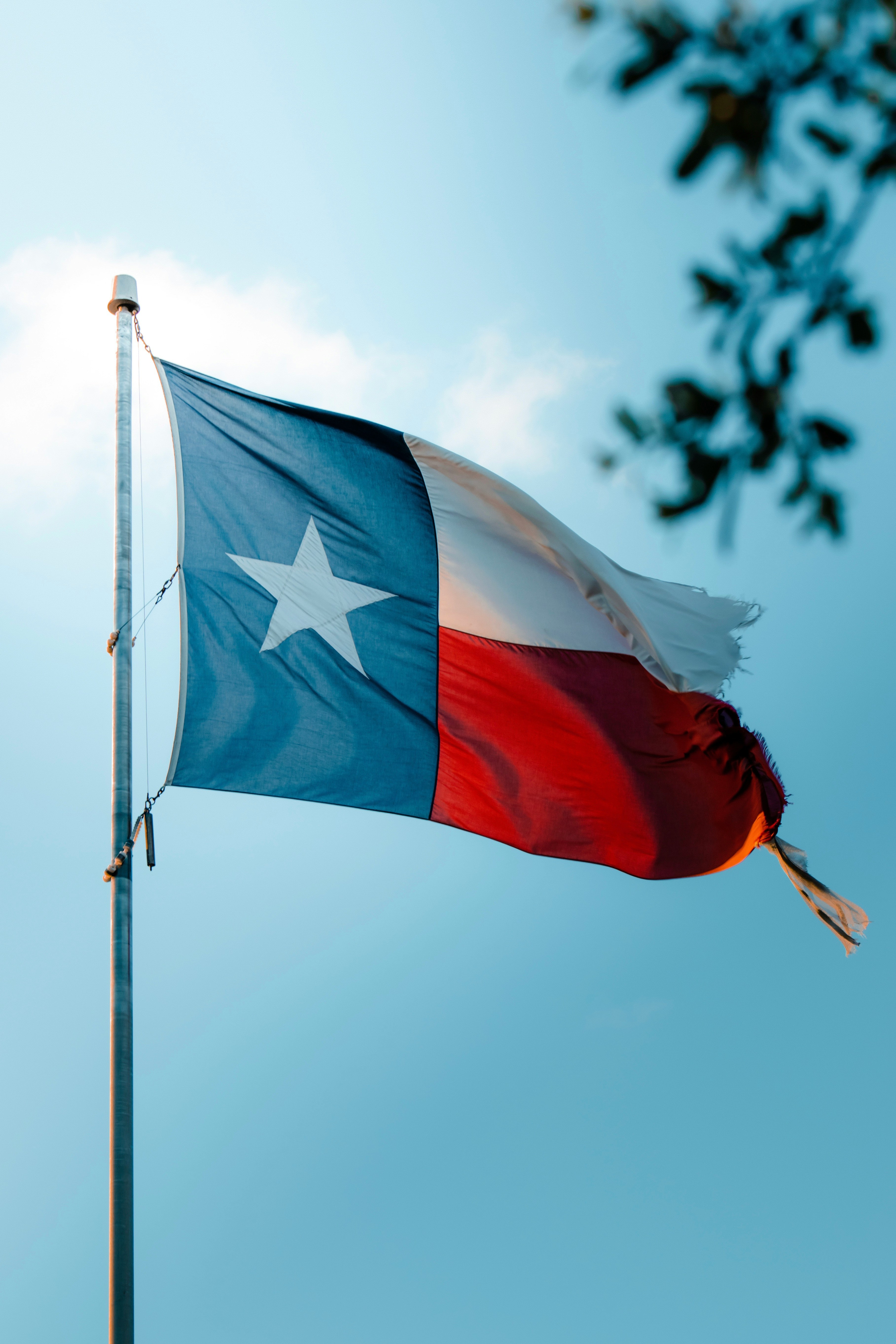 HDTexasLoneStateStarFlagge