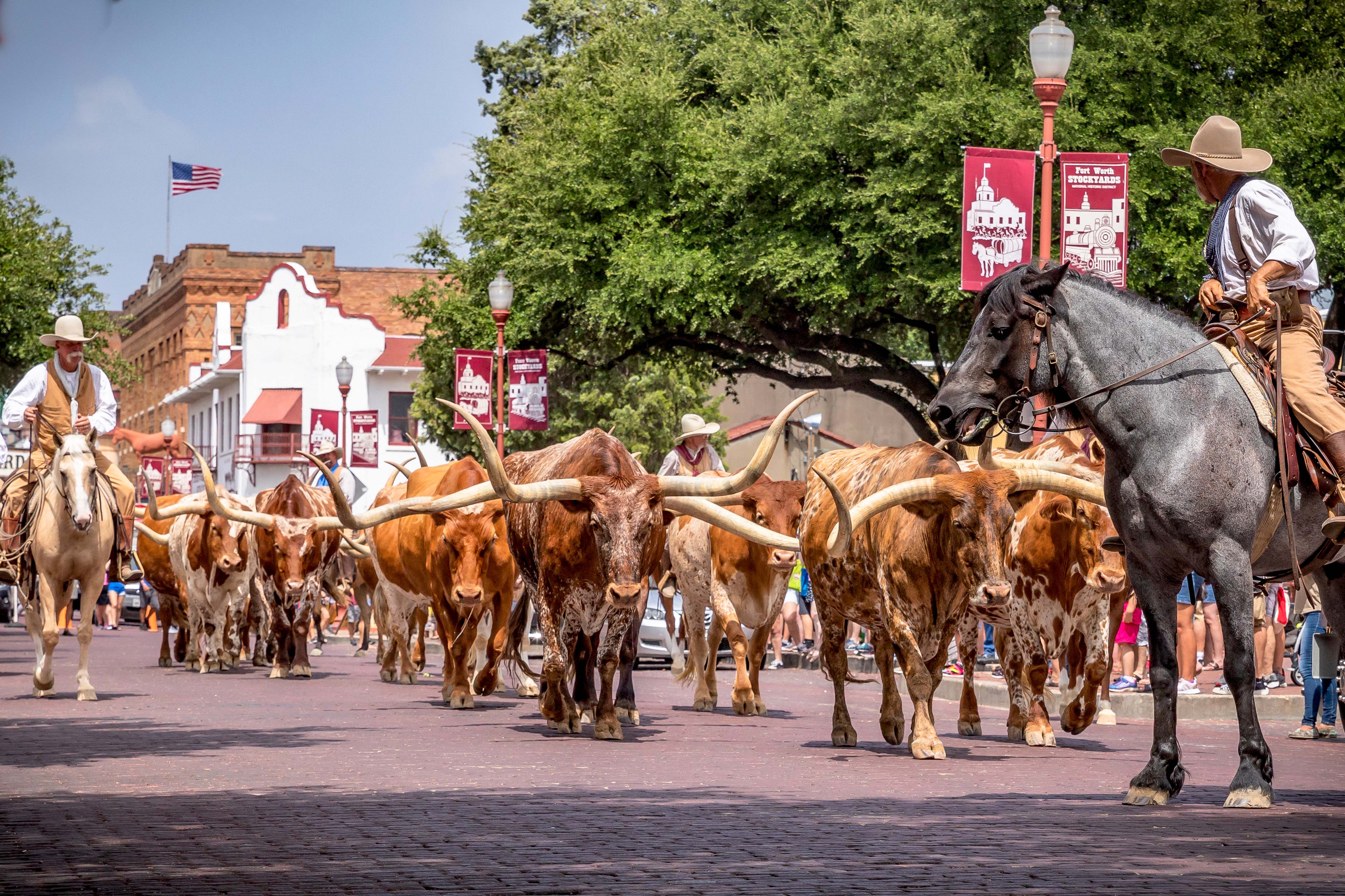 HDTexasFort Worth Stockyards2