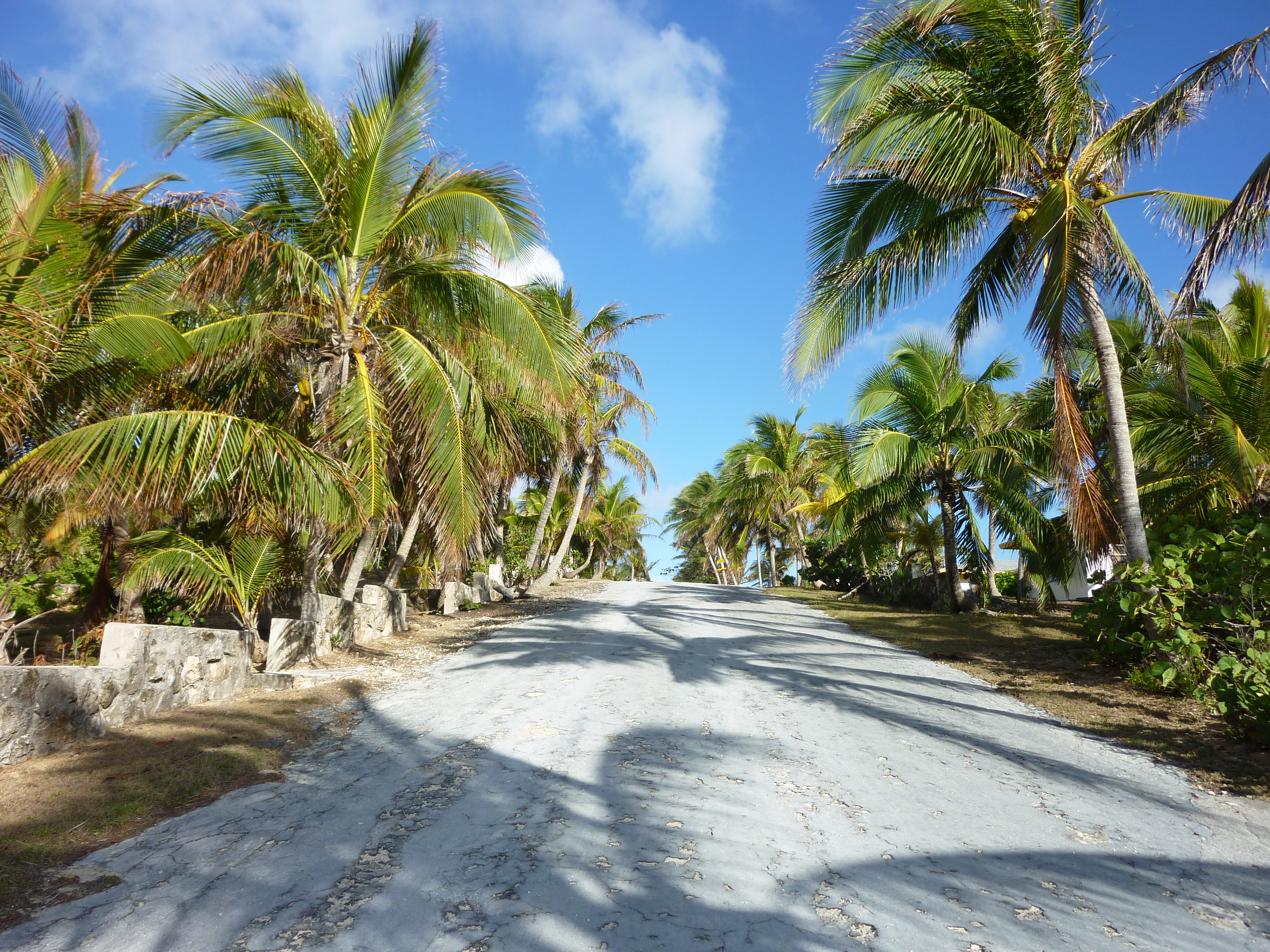 BahamasLong Island 54