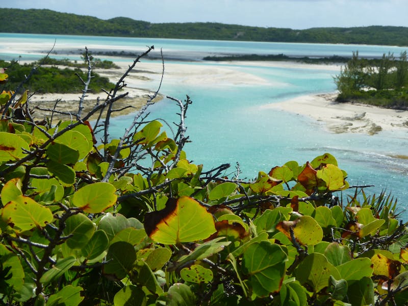 BahamasLong Island 81