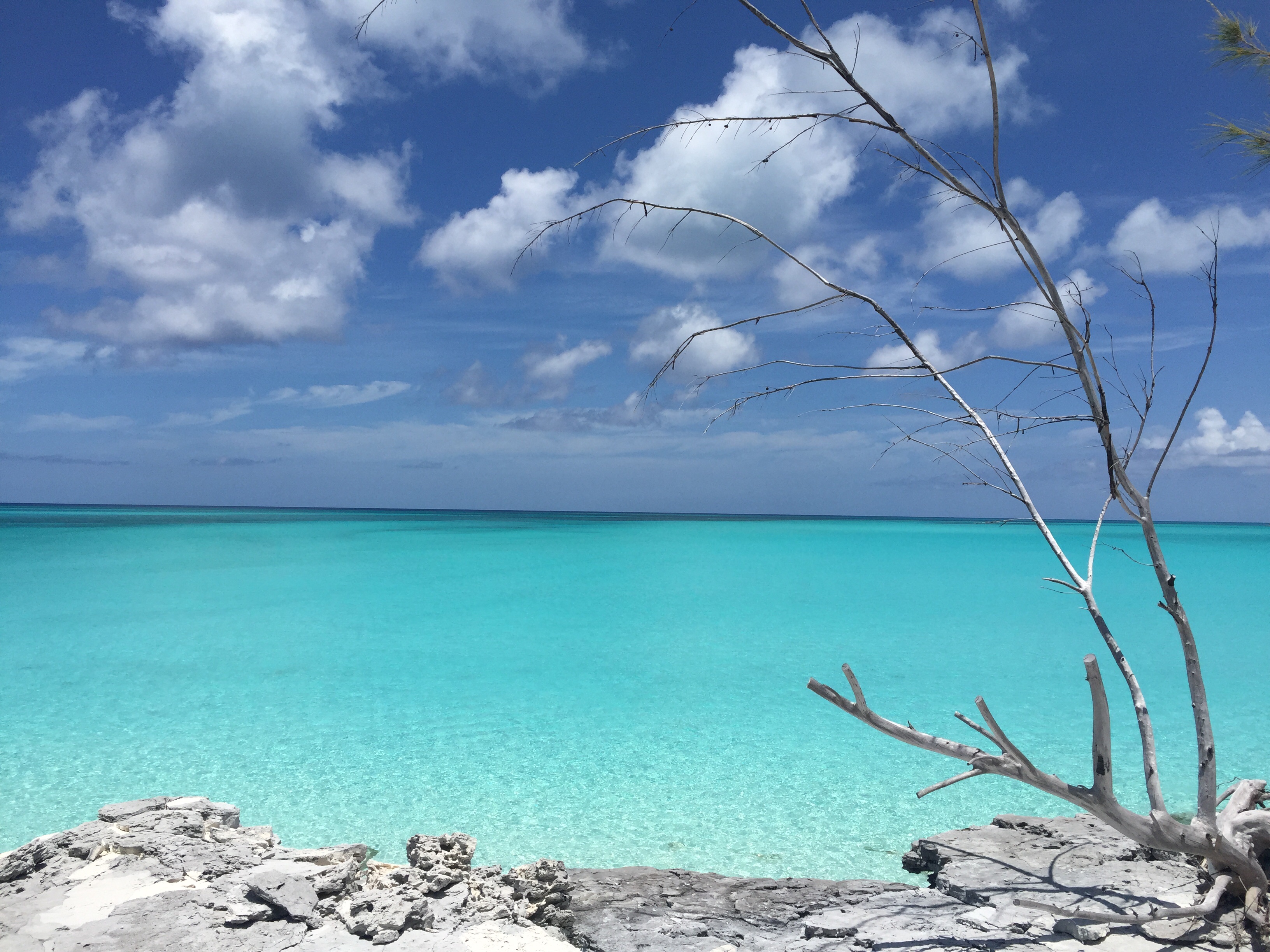 Bahamaslong island 3