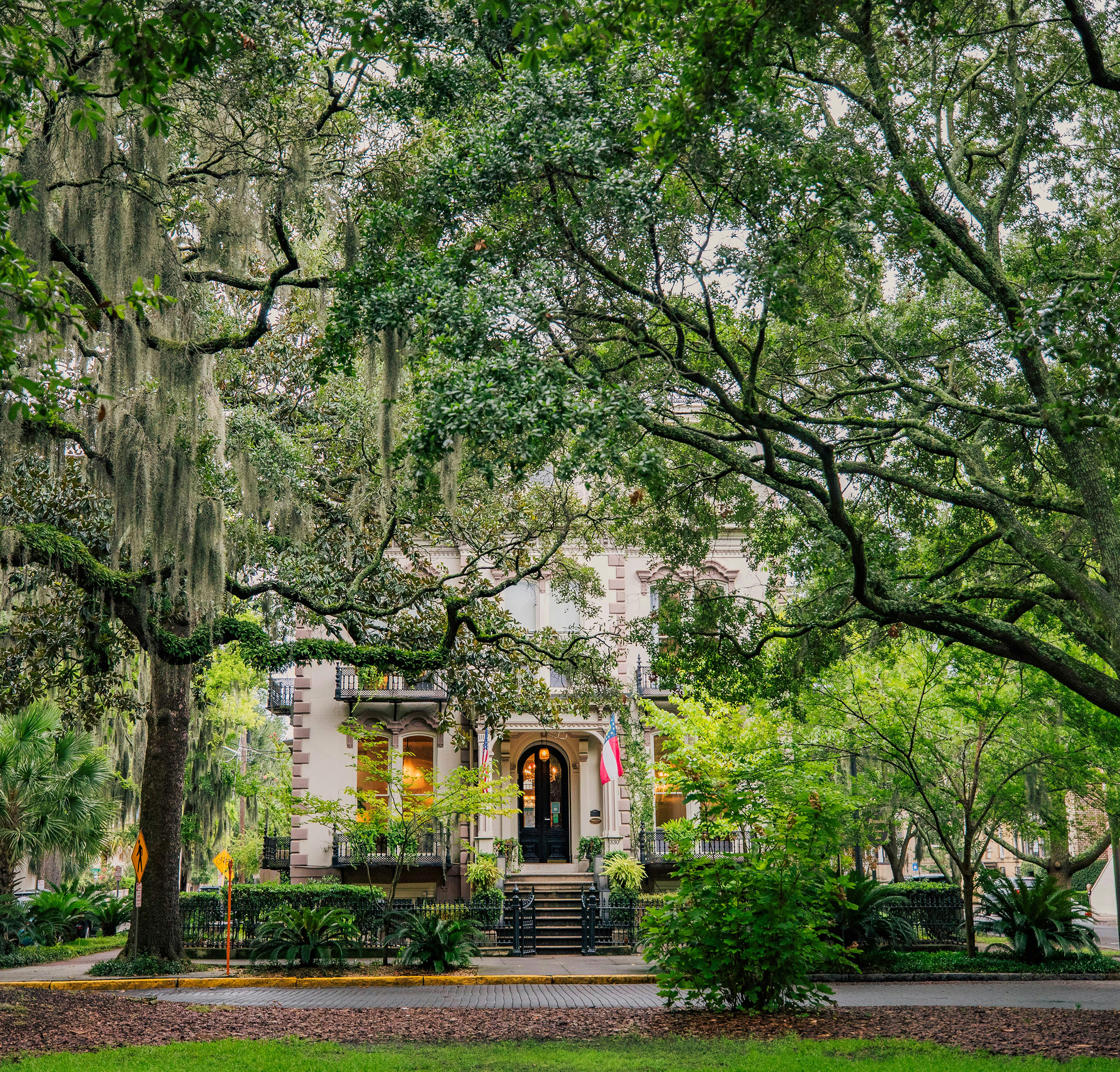 HDGeorgiaSavannah OakbaumHaus