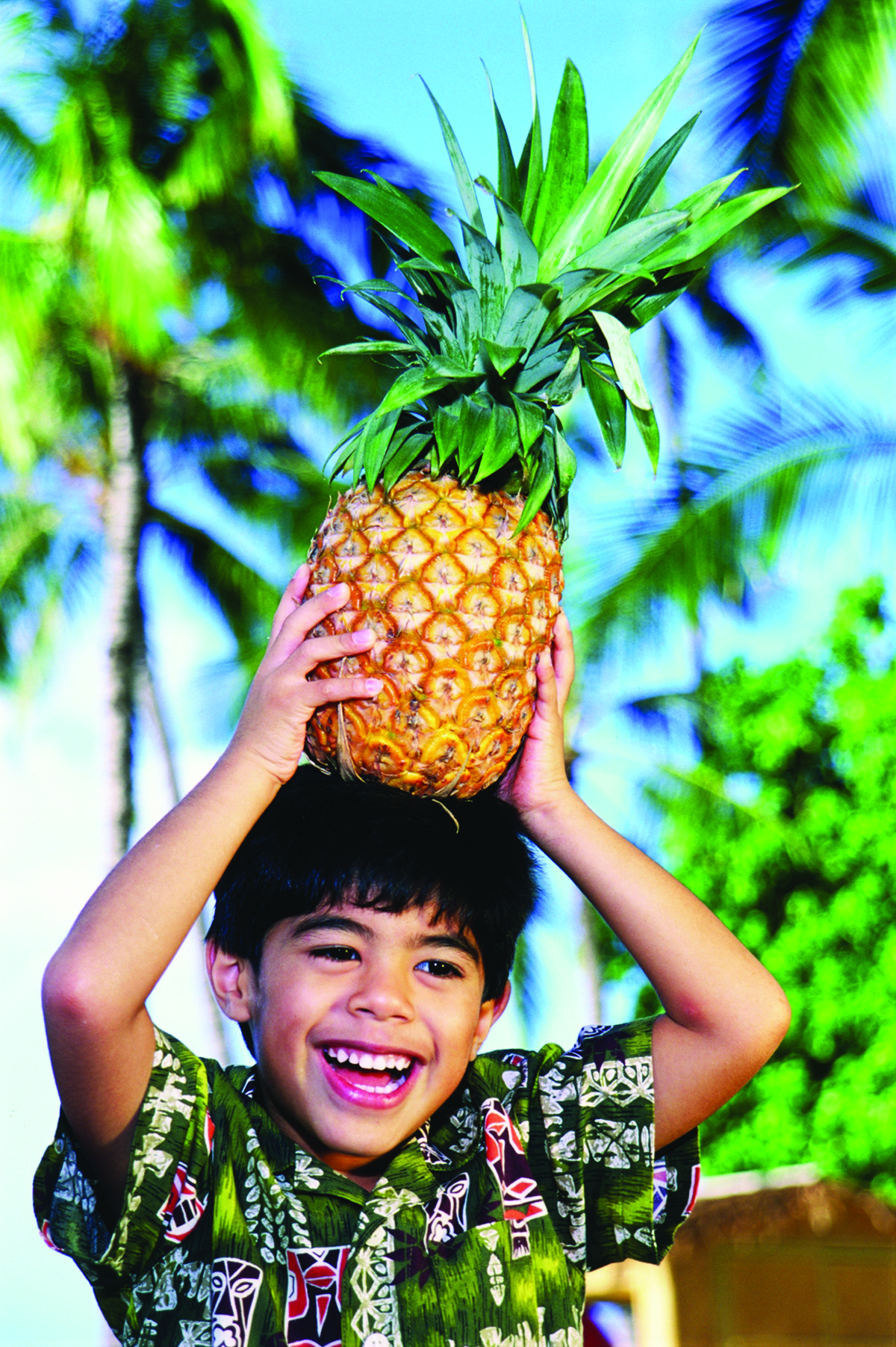 HDHawaiikindandannanas