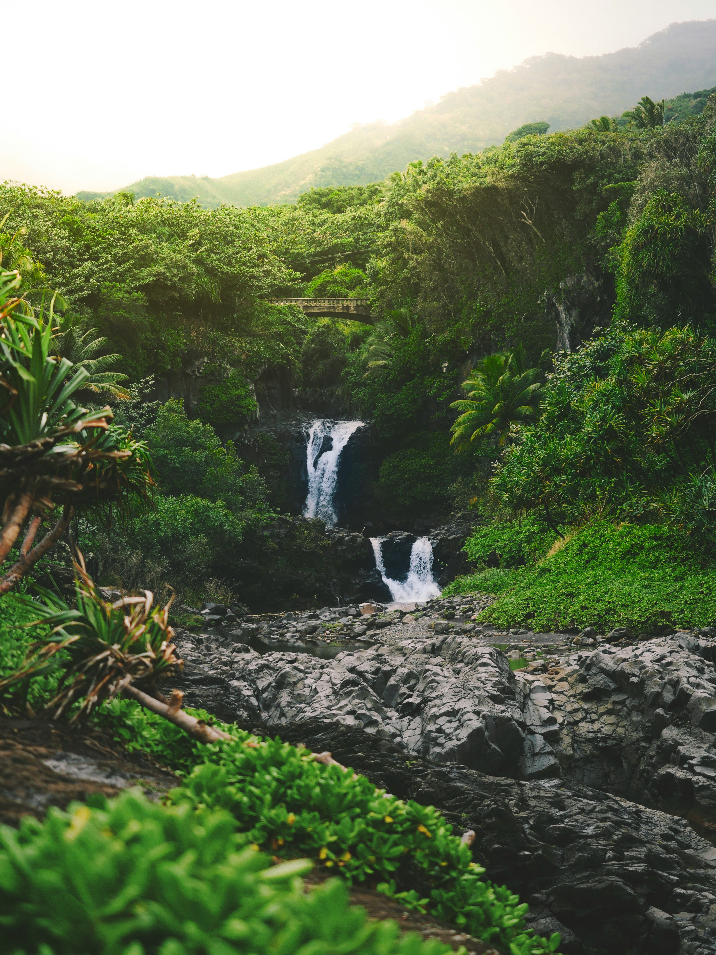 HDHawaiiWasserfall