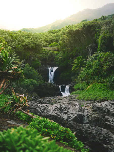 HDHawaiiWasserfall