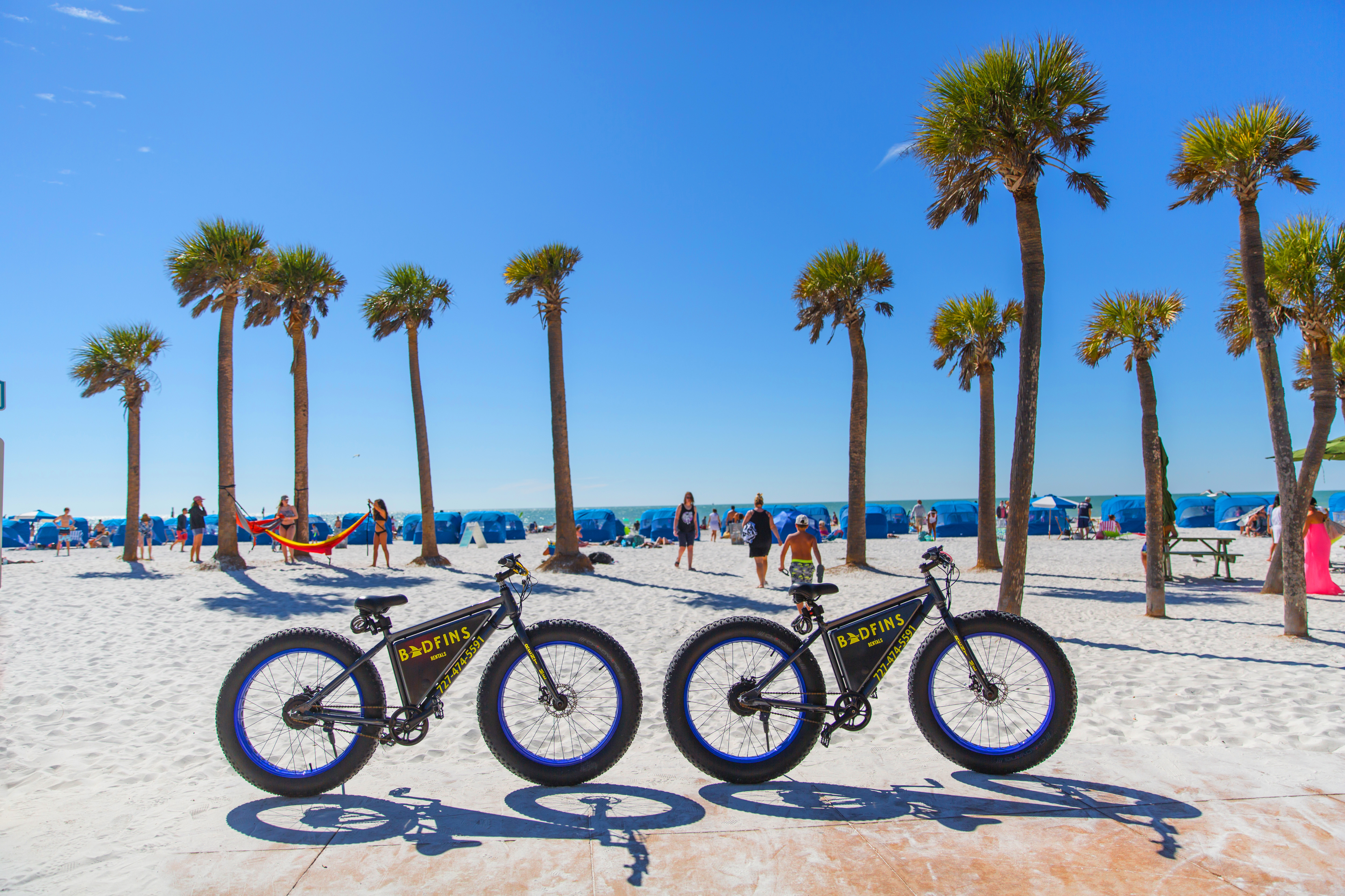 HDFloridaSt Pete ClearwaterBikes and Palm Trees on Clearwater Beach