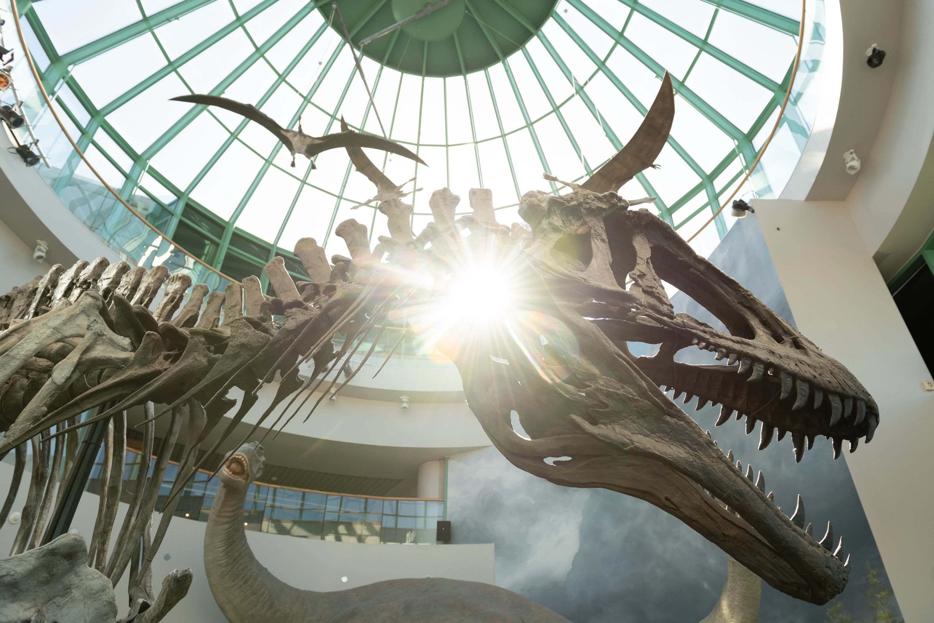 HDNorth CarolinaRaleighRaleigh Museum of Natural Sciences For Real Summer 4 