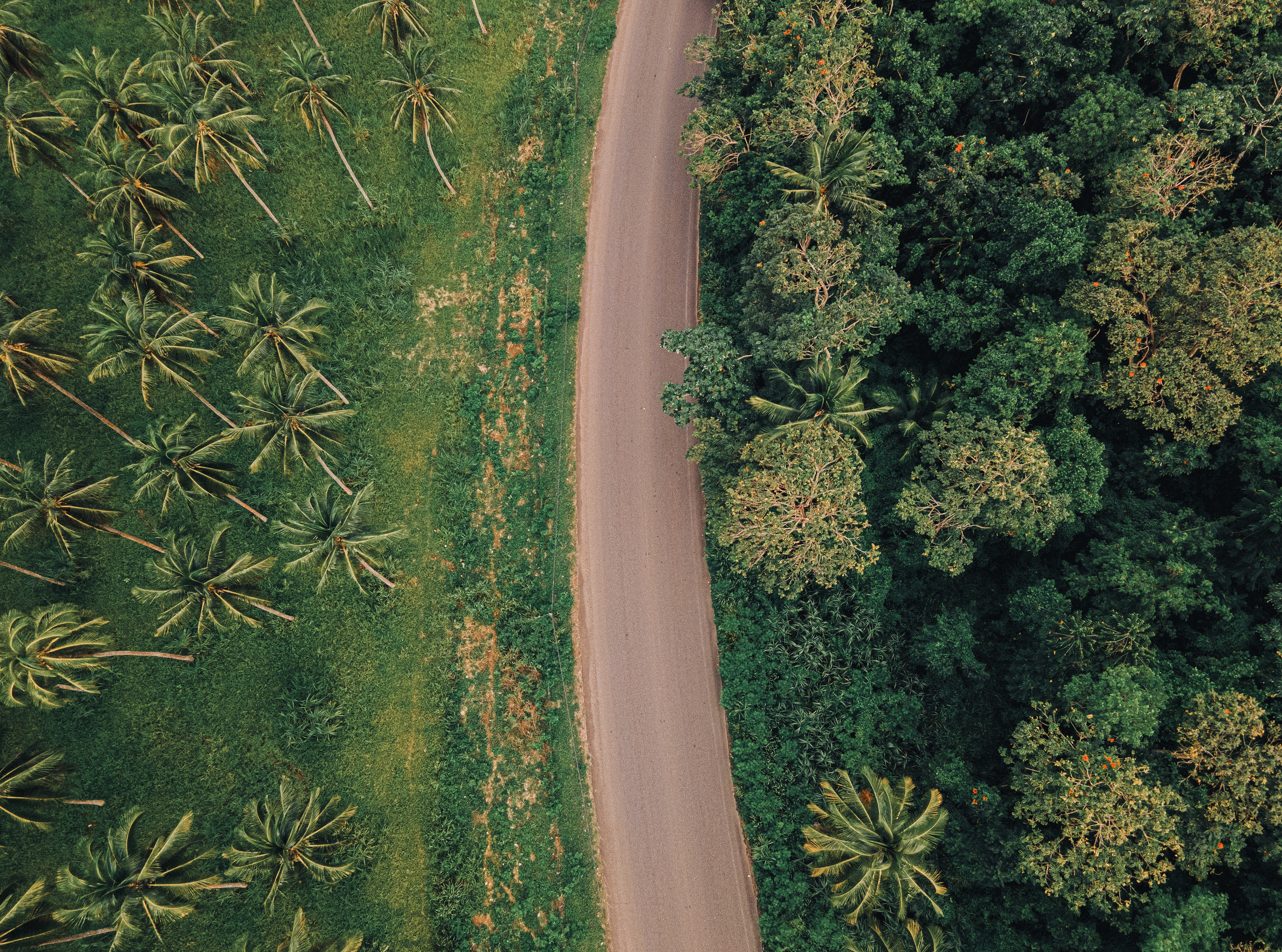 HDJamaikaPortAntonio road