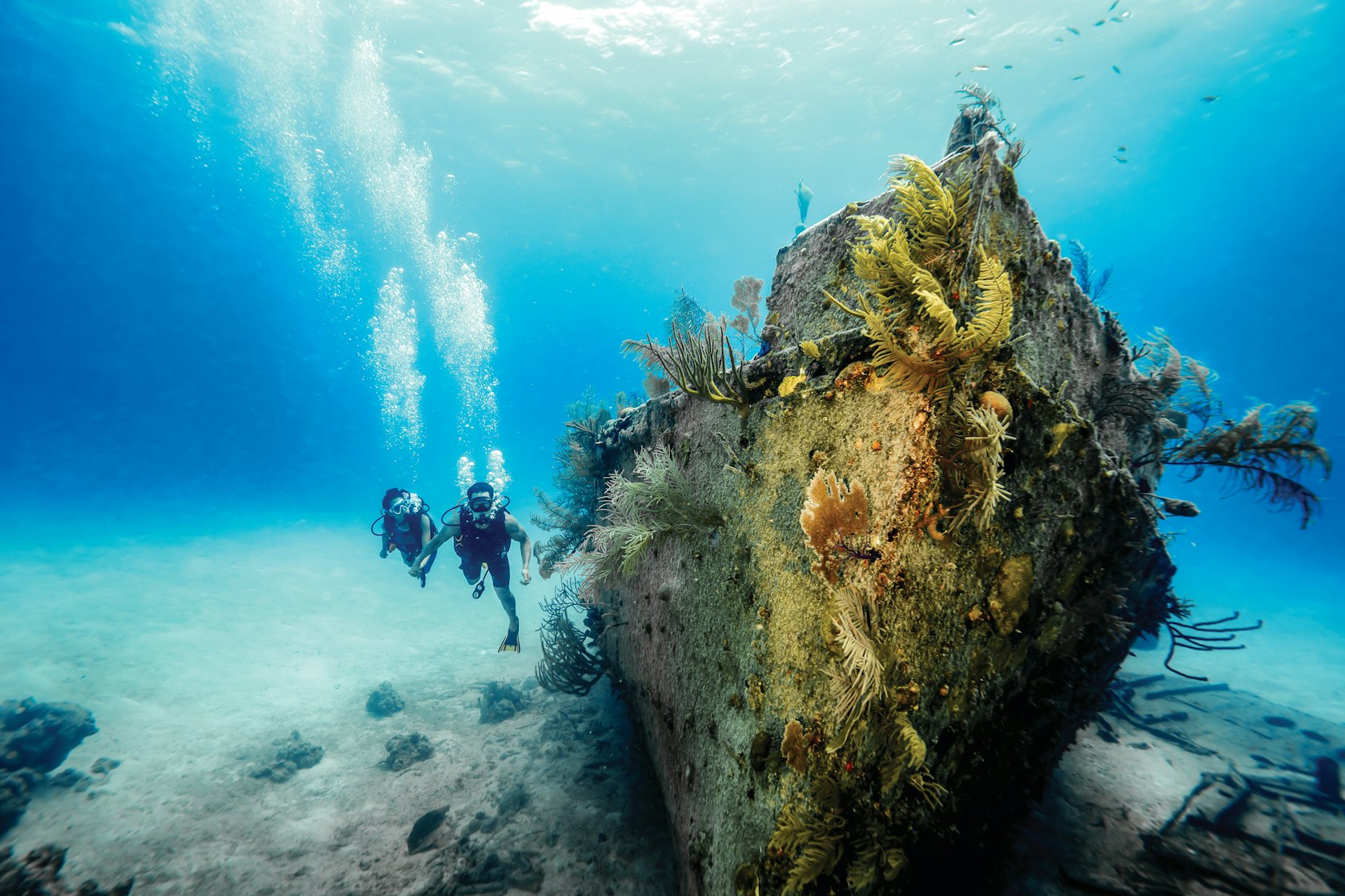 HDBahamasNassau Paradise Island Tauchen