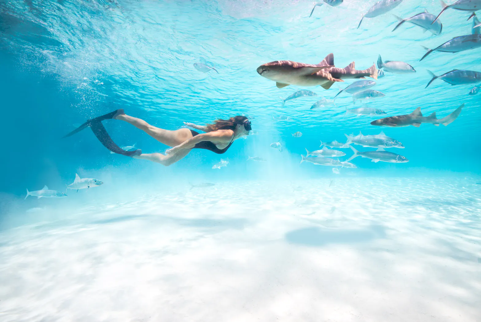 HDBahamasSchnorcheln